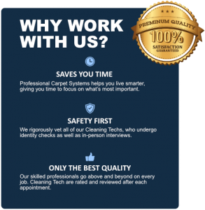 ABOUT US – Professional Carpet Systems